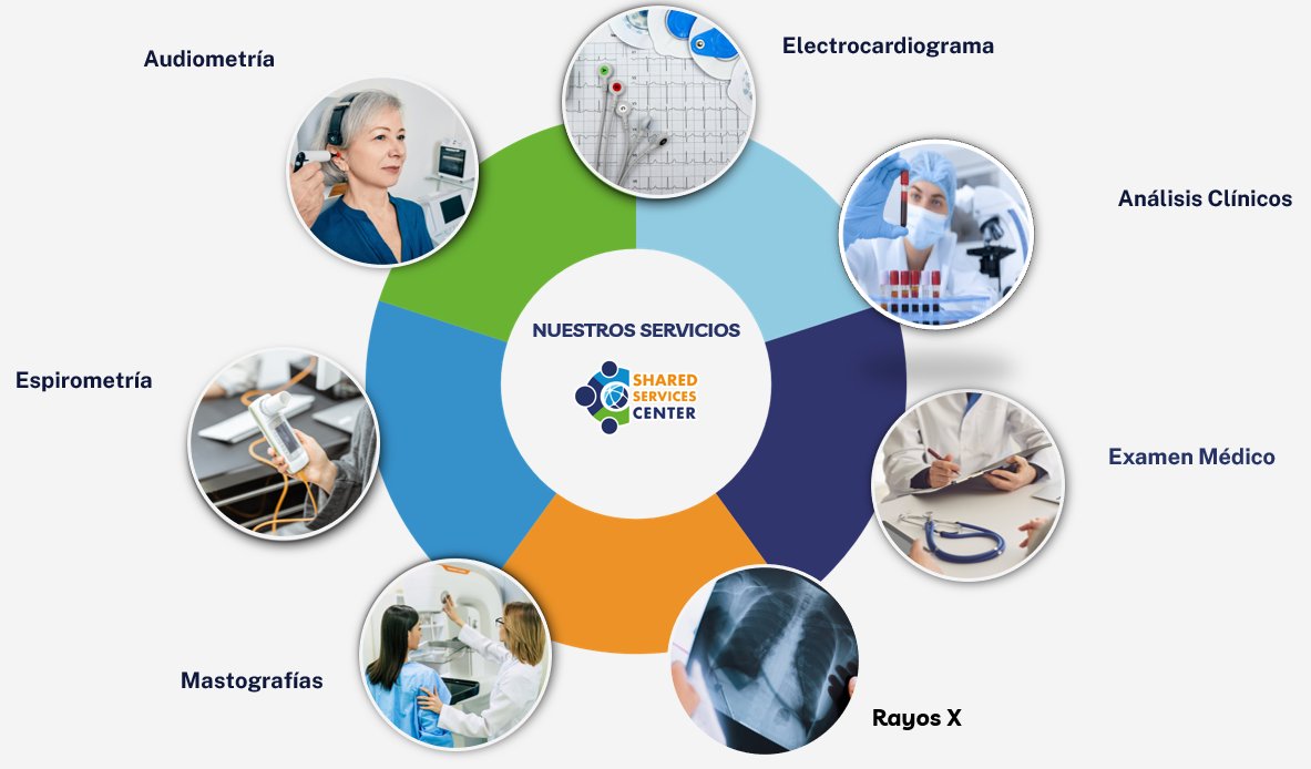 Nuestros servicios — SSC México and Latam